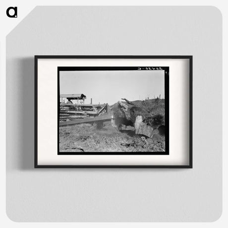 2-81_Dorothea-Lange_blk