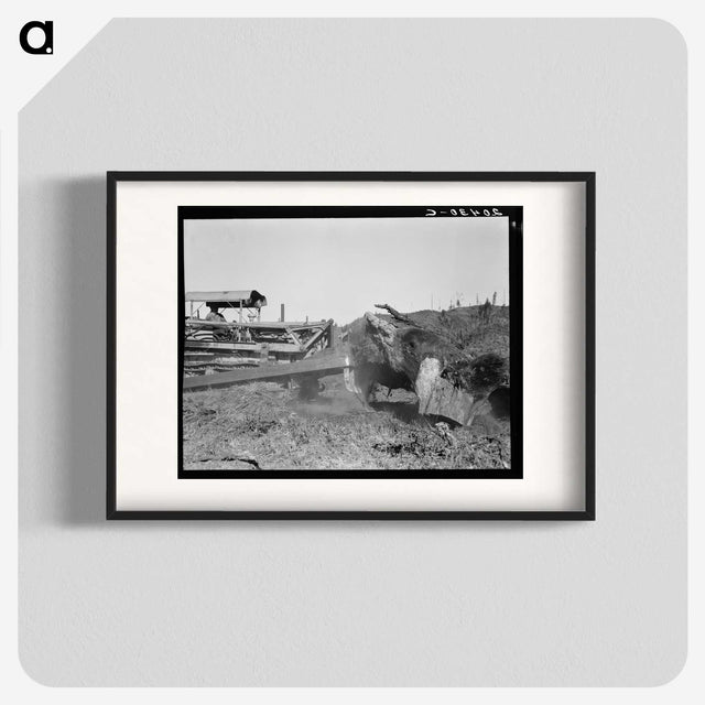 2-81_Dorothea-Lange_blk