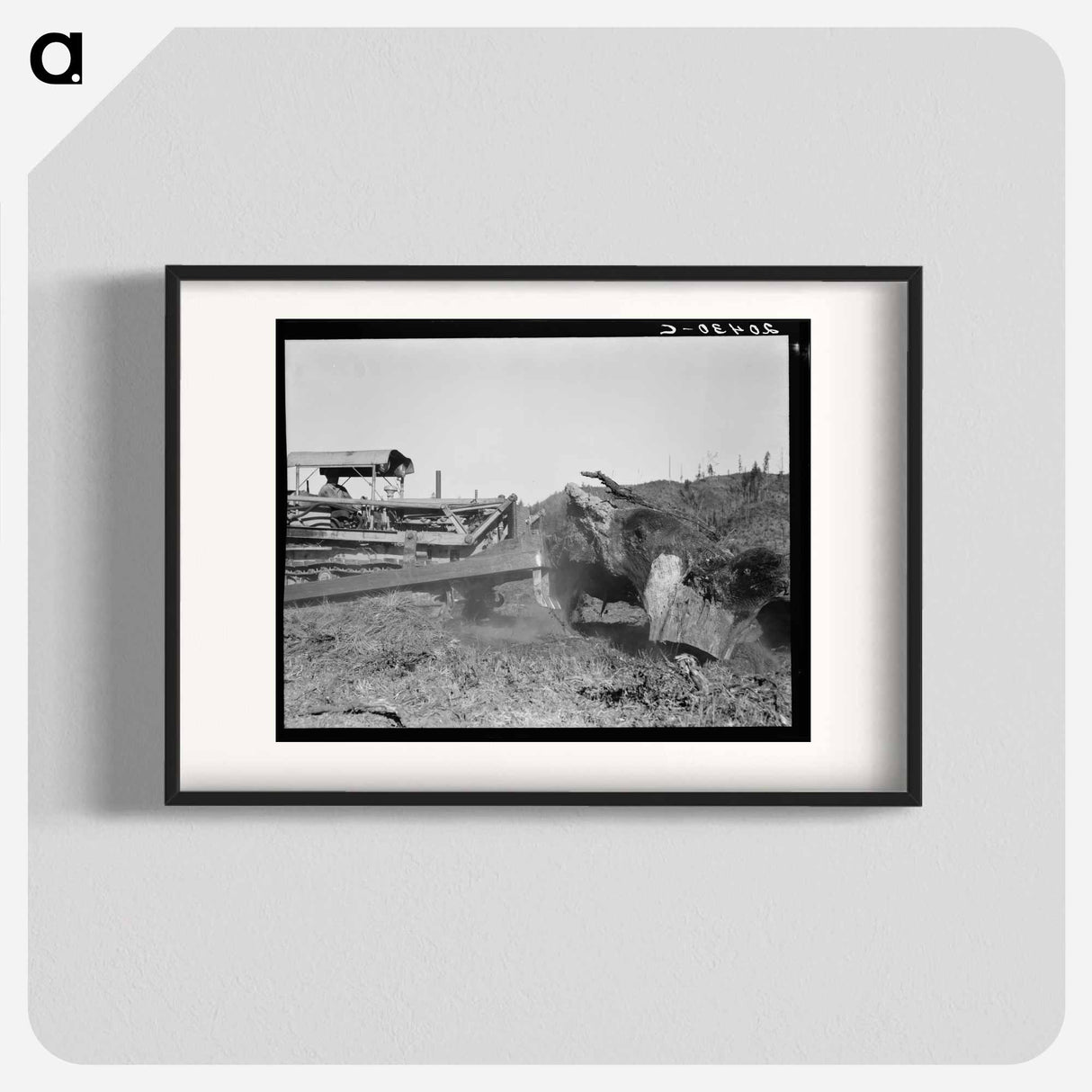 Bulldozer raises and pushes stump on cut-over farm - Dorothea Lange Poster.