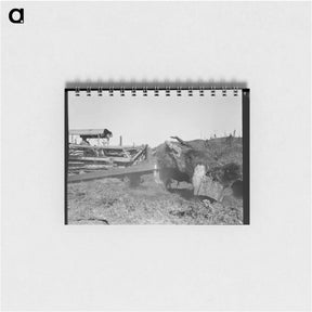 アートメモ帳-Bulldozer raises and pushes stump on cut-over farm - ドロテア ラング Memo.