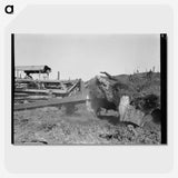 2-81_Dorothea-Lange_picture-crop