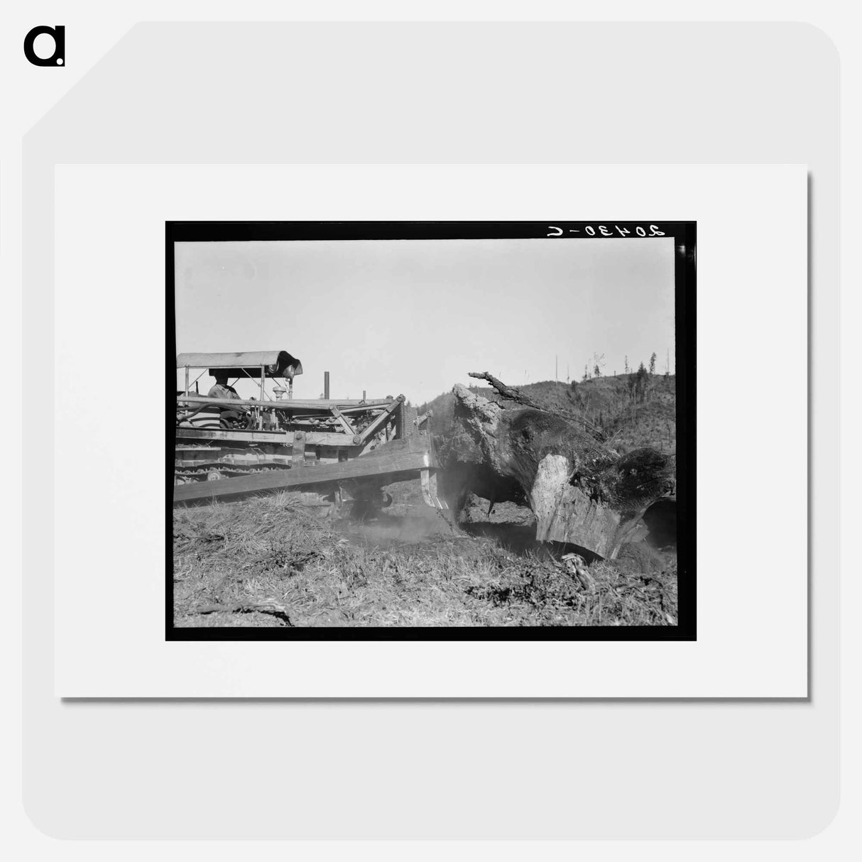 Bulldozer raises and pushes stump on cut-over farm - Dorothea Lange Poster.