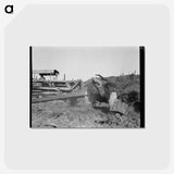 2-81_Dorothea-Lange_postcard