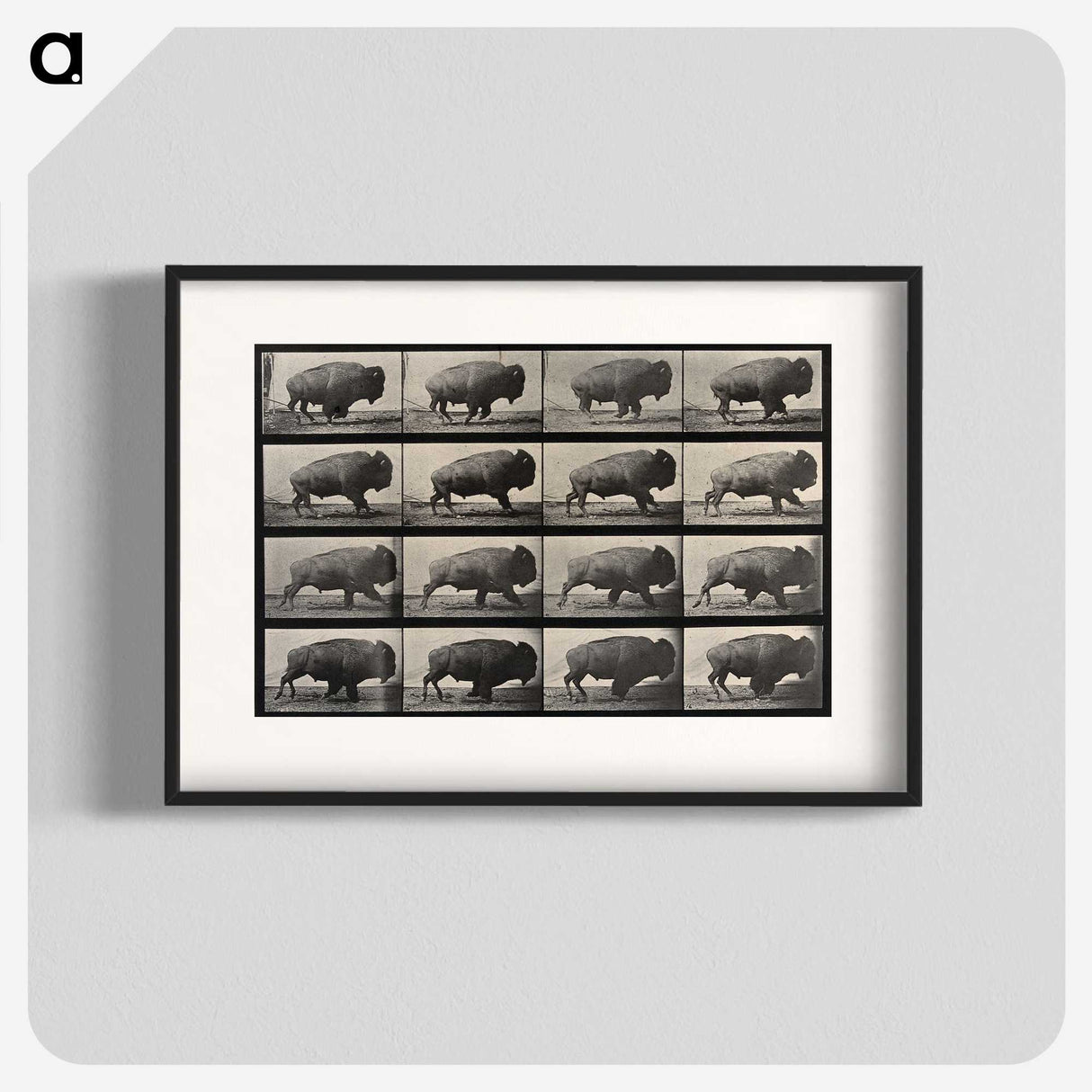 2-81_Eadweard-Muybridge_blk