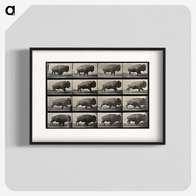 2-81_Eadweard-Muybridge_blk