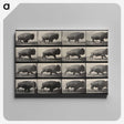 2-81_Eadweard-Muybridge_canvas
