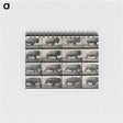 2-81_Eadweard-Muybridge_memo