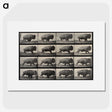 2-81_Eadweard-Muybridge_picture