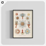 2-81_Ernst-Haeckel_blk-crop