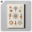 2-81_Ernst-Haeckel_canvas