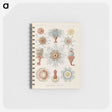 2-81_Ernst-Haeckel_memo