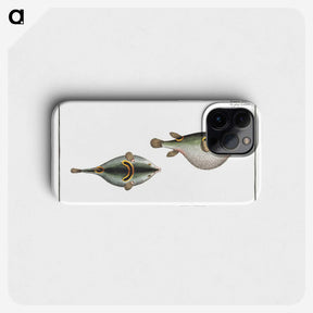 2-81_Ichtyologie-ou-Histoire-naturelle_phone