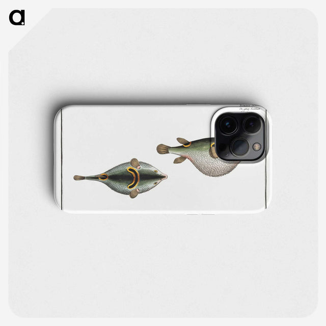 2-81_Ichtyologie-ou-Histoire-naturelle_phone