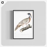 2-81_Indian-Zoology_blk-crop