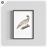 2-81_Indian-Zoology_blk