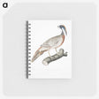 2-81_Indian-Zoology_memo