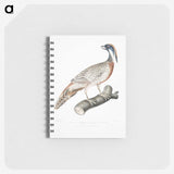 2-81_Indian-Zoology_memo