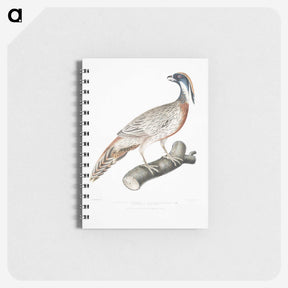 2-81_Indian-Zoology_memo
