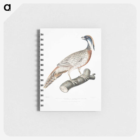 2-81_Indian-Zoology_memo