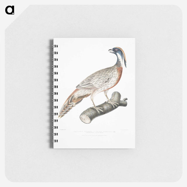 2-81_Indian-Zoology_memo