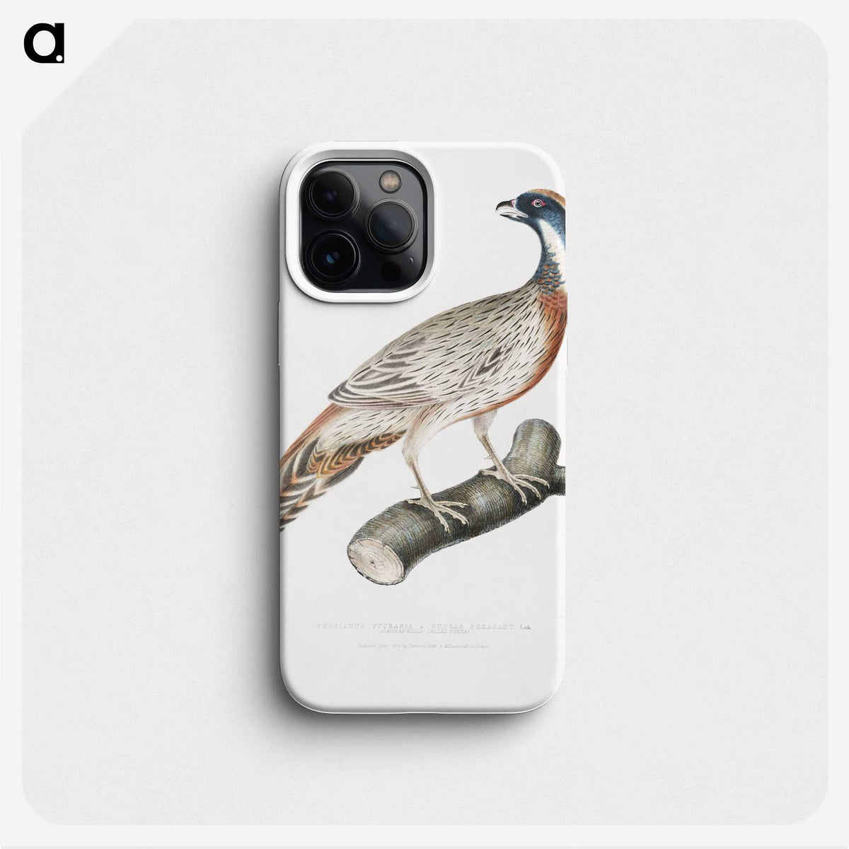 2-81_Indian-Zoology_phone