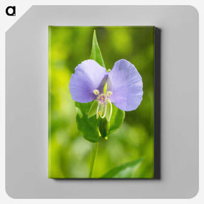 2-81_Insects-Unlocked-Project_canvas