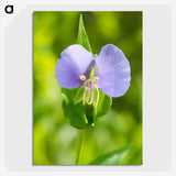 2-81_Insects-Unlocked-Project_picture-crop