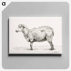 アートパネル-Standing sheep - ジャン ベルナール Canvas.