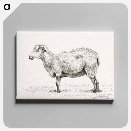 アートパネル-Standing sheep - ジャン ベルナール Canvas.