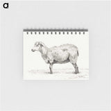 2-81_Jean-Bernard_memo