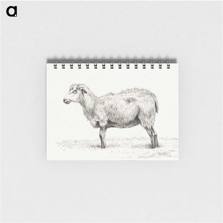 2-81_Jean-Bernard_memo