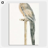 2-81_Johan-Teyler_picture-crop
