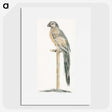 2-81_Johan-Teyler_picture
