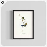 2-81_John-Gould_blk