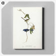 2-81_John-Gould_canvas