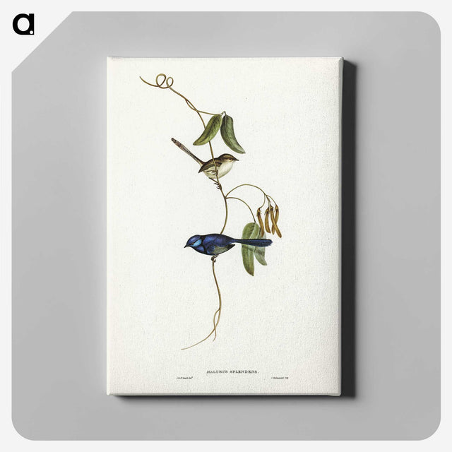 2-81_John-Gould_canvas