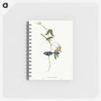 2-81_John-Gould_memo