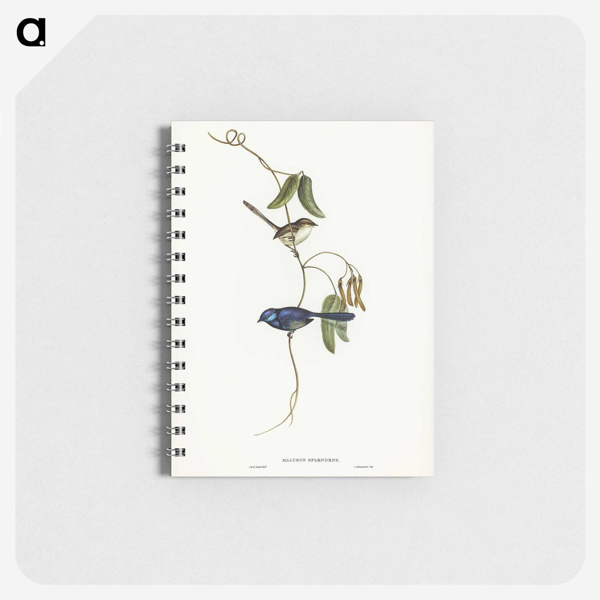 2-81_John-Gould_memo
