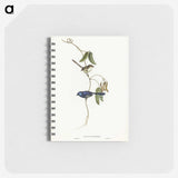 2-81_John-Gould_memo