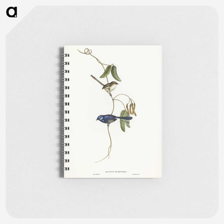 2-81_John-Gould_memo