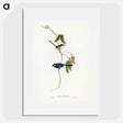 2-81_John-Gould_picture