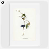 2-81_John-Gould_picture