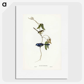 2-81_John-Gould_picture