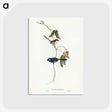 2-81_John-Gould_postcard