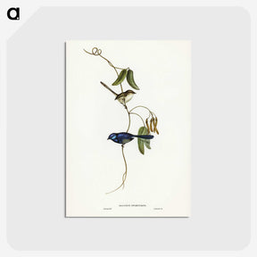 2-81_John-Gould_postcard
