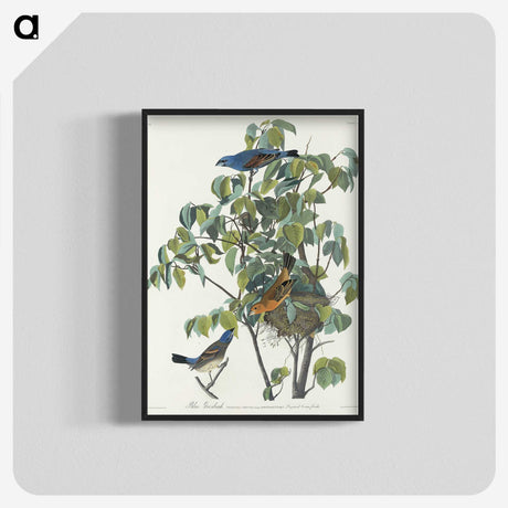 2-81_John-James-Audubon_blk-crop