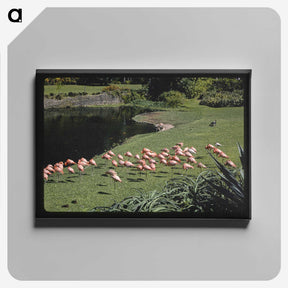 2-81_John-Margolies_canvas
