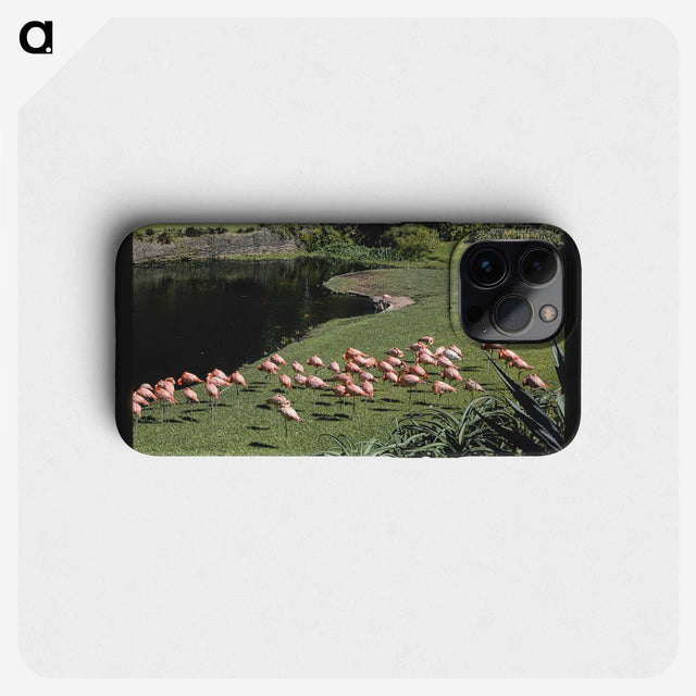 2-81_John-Margolies_phone