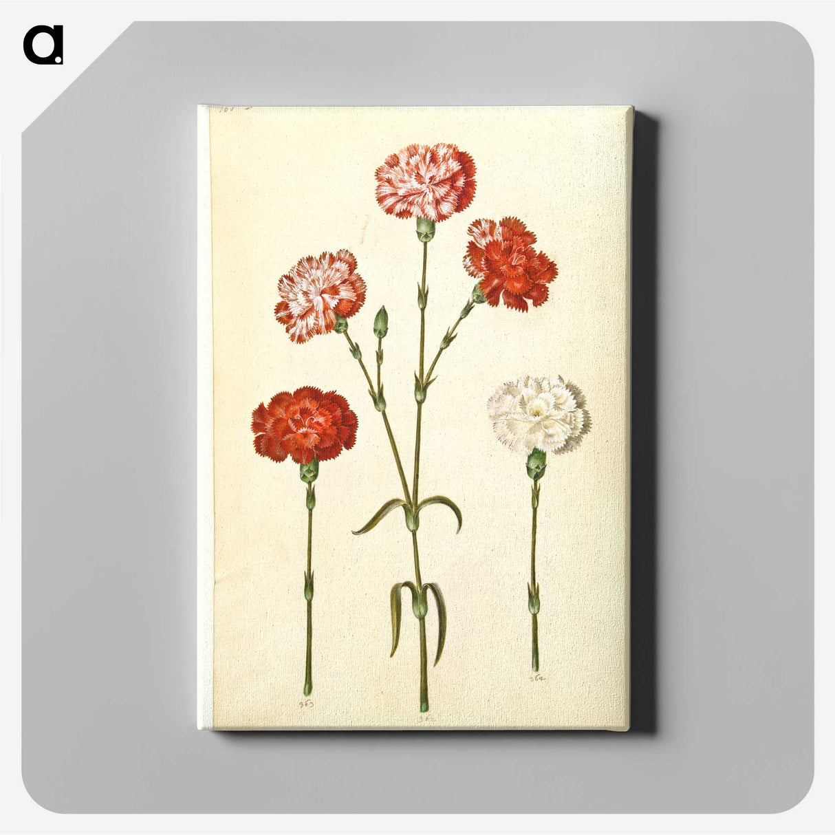 2-81_Maria-Sibylla-Merian_canvas