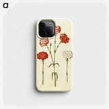 2-81_Maria-Sibylla-Merian_phone